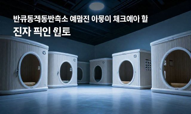 반려동물동반숙소 관련 이미지 - 반려동물동반숙소 예약 전 반드시 체크해야 할 '진짜' 편의성 리스트