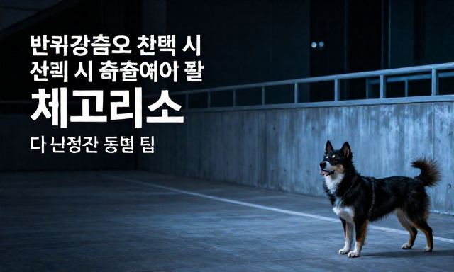 반려견숙소 관련 이미지 - 반려견숙소 선택 시 꼭 확인해야 할 체크리스트와 노령견 동반 팁