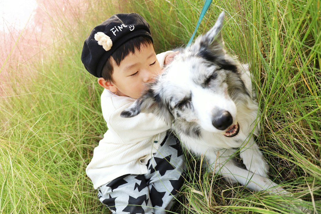 강아지종합검진 참고 이미지 2
