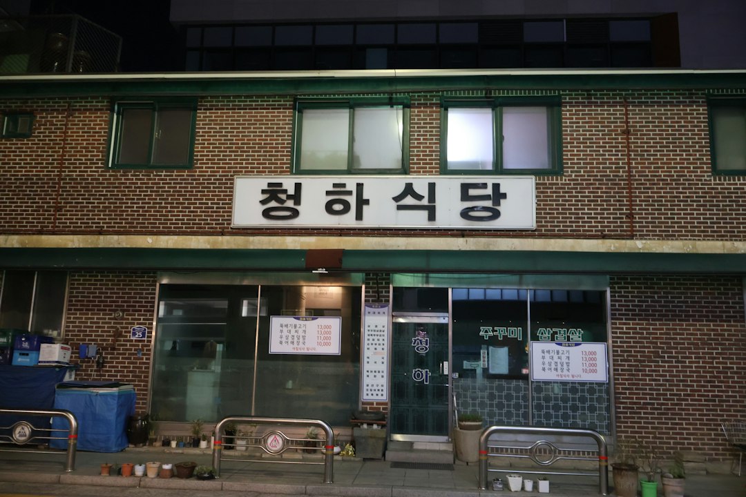 반려동물과 참고 이미지 2